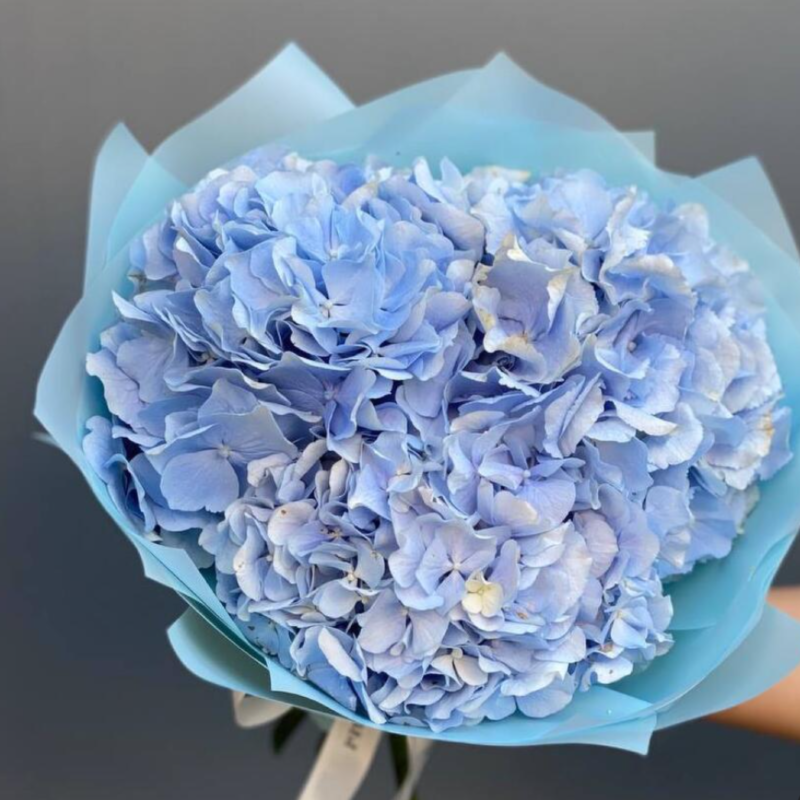 Монобукет из 3-х голубых  гортензий