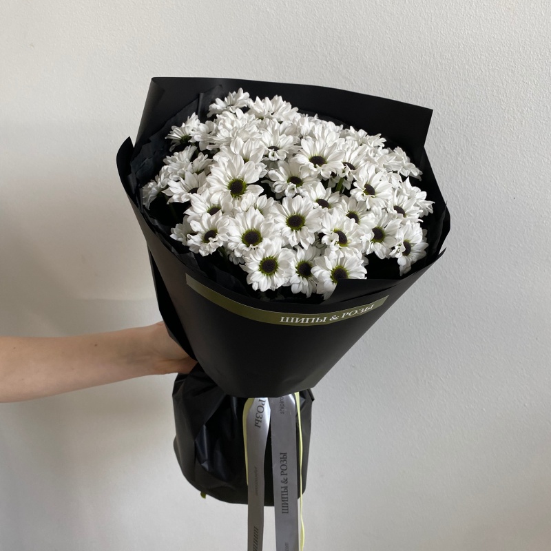 Хризантемы сантини